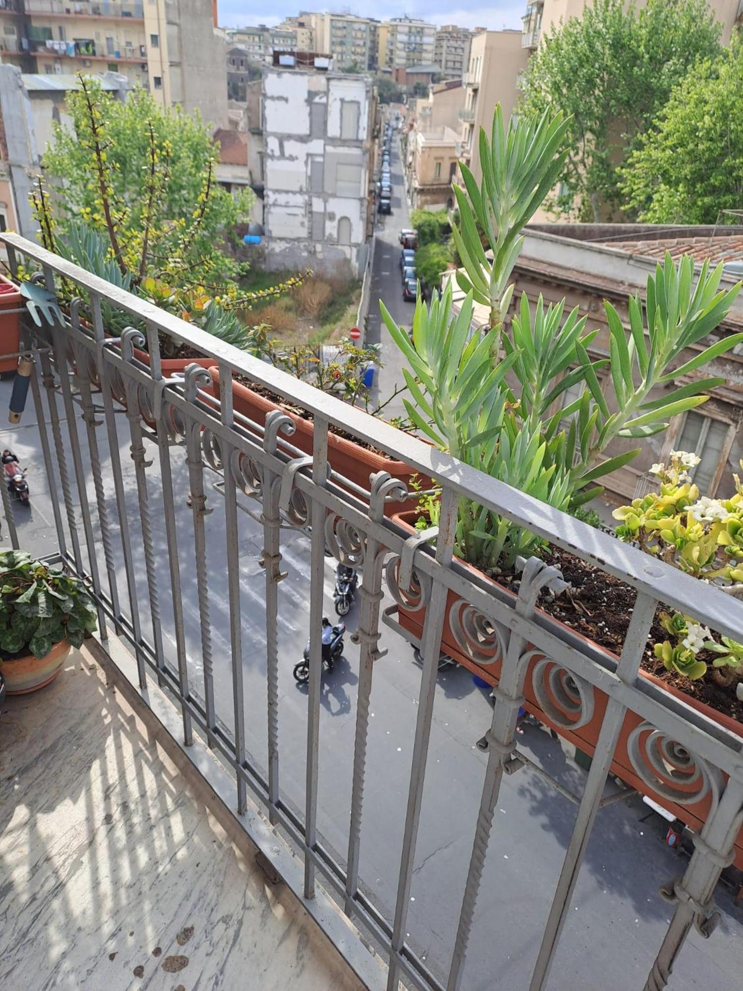 Ianuzza House Catania