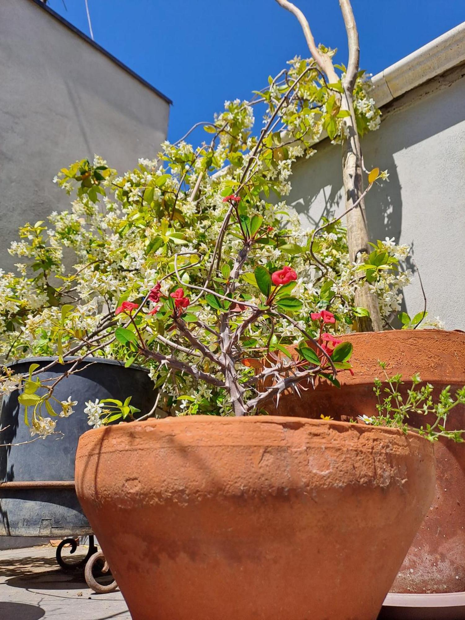 Apartment Ianuzza House Catania